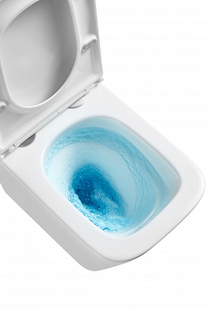 Подвесной унитаз безободковый Terminus Ватикан Monolit 490х340 белый Евпатория - фото 8