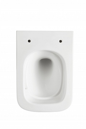 Подвесной унитаз безободковый Terminus Ватикан 490х340 белый Евпатория - фото 5