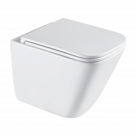 Подвесной унитаз безободковый Terminus Ватикан Monolit 490х340 белый Евпатория - фото 2