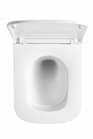 Подвесной унитаз безободковый Terminus Ватикан Monolit 490х340 белый Евпатория - фото 3